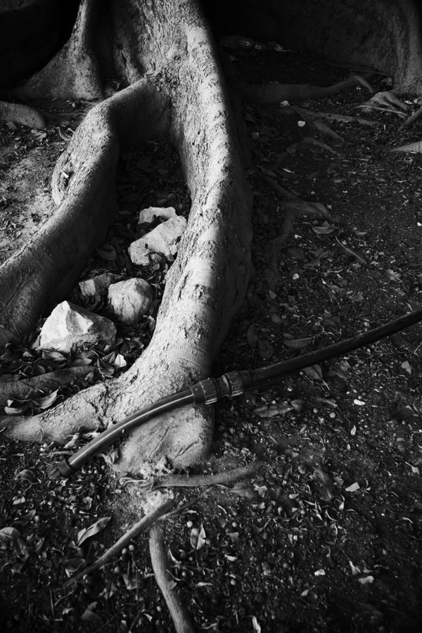 © Jose M. Martinez - XI Lust