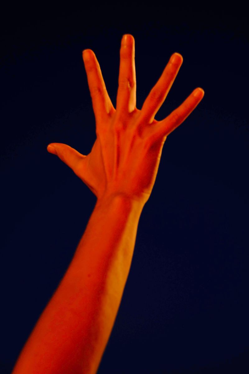 © Jose M. Martinez - Image from the Invasion photography project