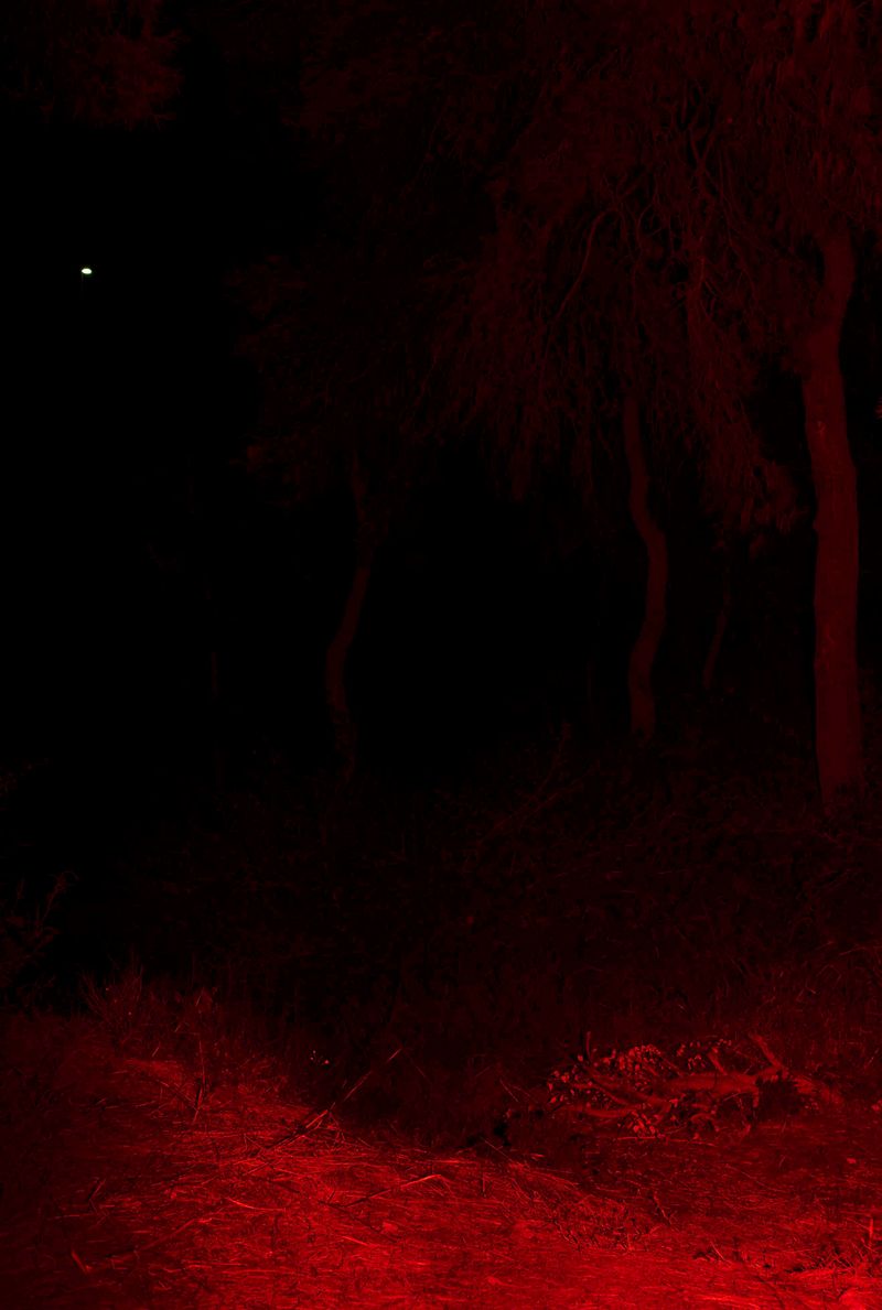 © Jose M. Martinez - Image from the Invasion photography project