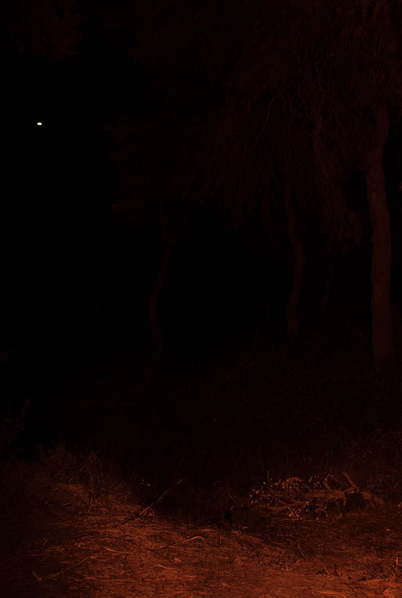 © Jose M. Martinez - Image from the Invasion photography project