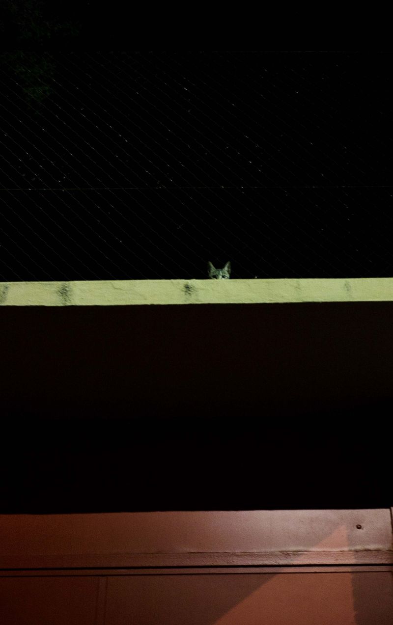 © Jose M. Martinez - Image from the Invasion photography project