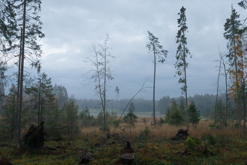 © Katerina Churbakova - Image from the The High Land photography project