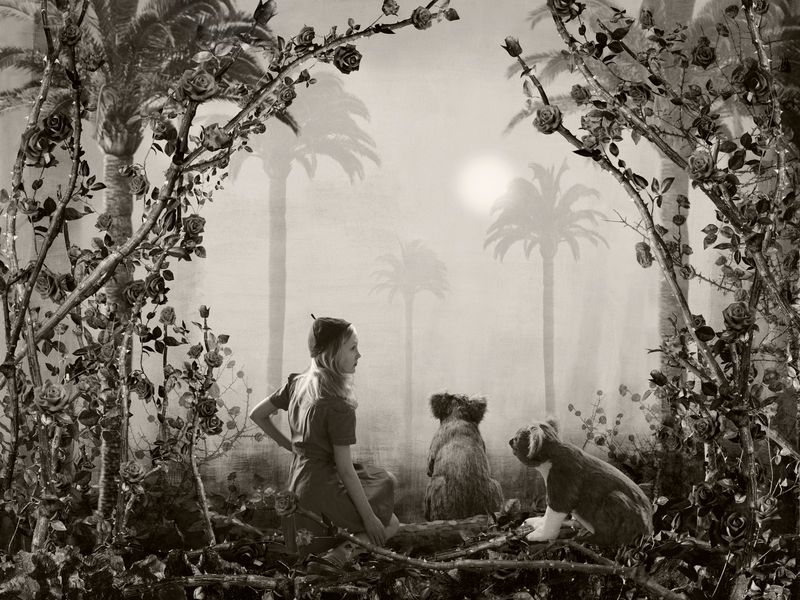© Helena Blomqvist - "Scout with Koalas"