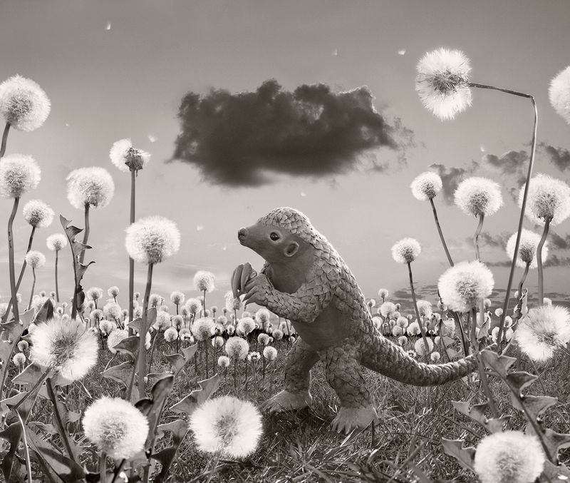 © Helena Blomqvist - The Dark Cloud