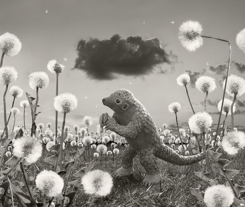 © Helena Blomqvist - The Dark Cloud