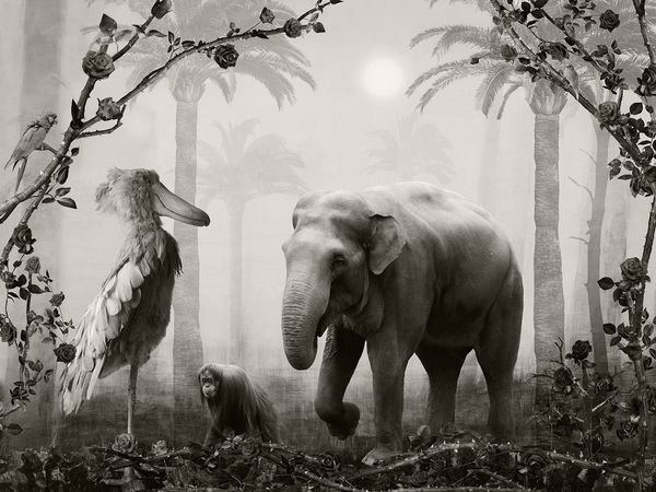 © Helena Blomqvist - Lost Horizon