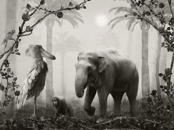 © Helena Blomqvist - Lost Horizon