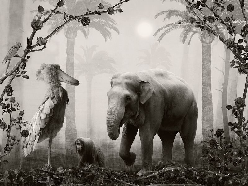 © Helena Blomqvist - Lost Horizon