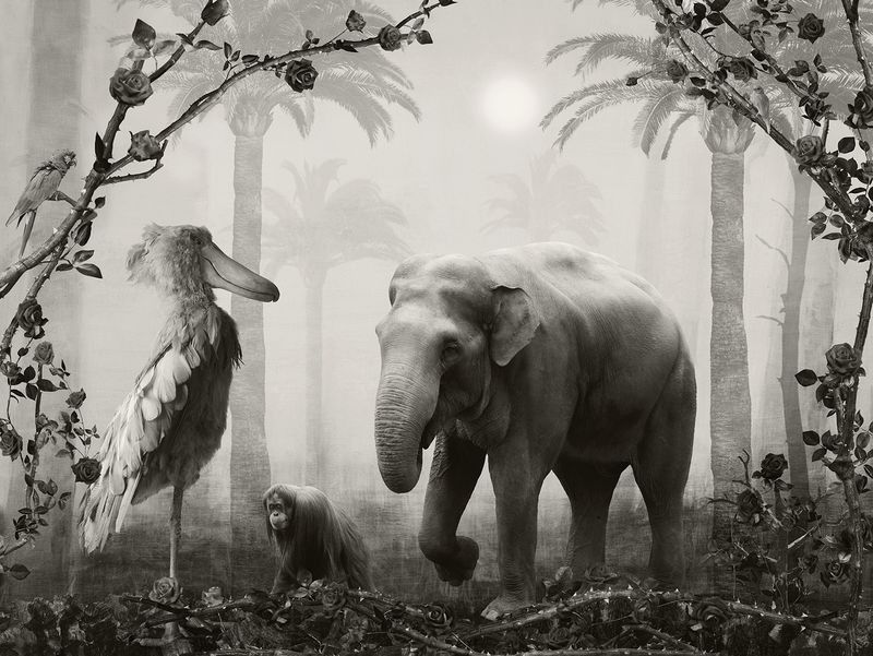 © Helena Blomqvist - Lost Horizon