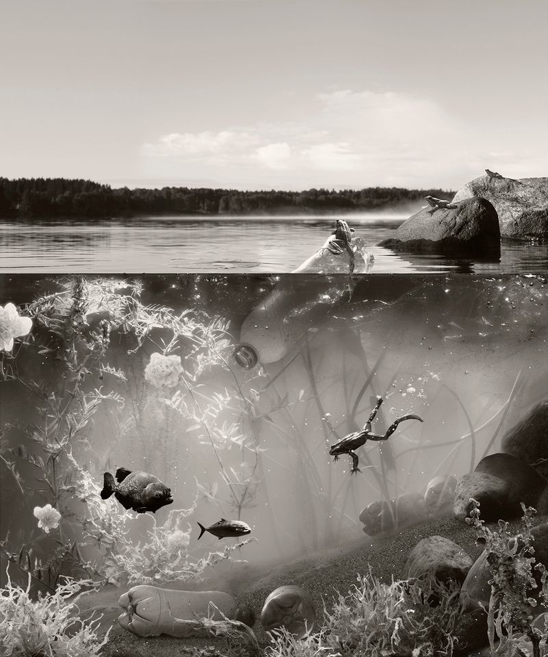 © Helena Blomqvist - In Shallow Water