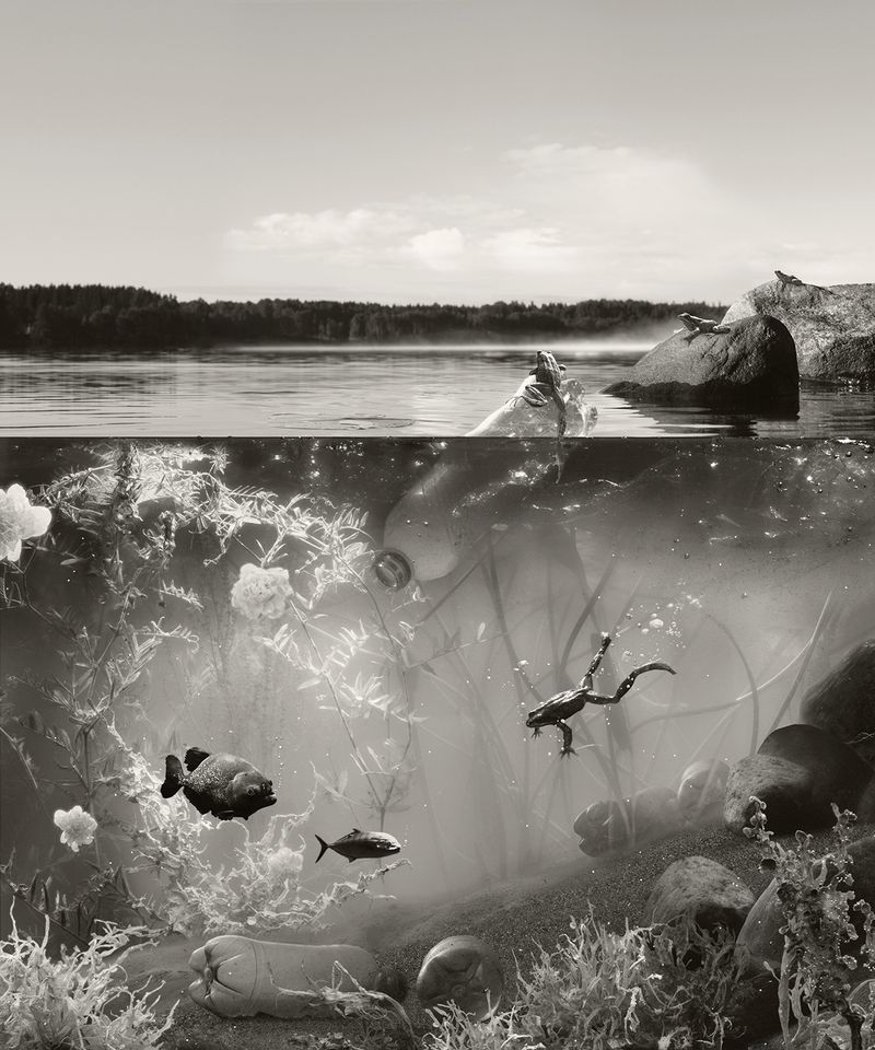 © Helena Blomqvist - In Shallow Water