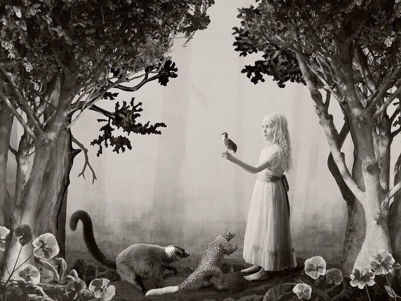 © Helena Blomqvist - Birdgirl