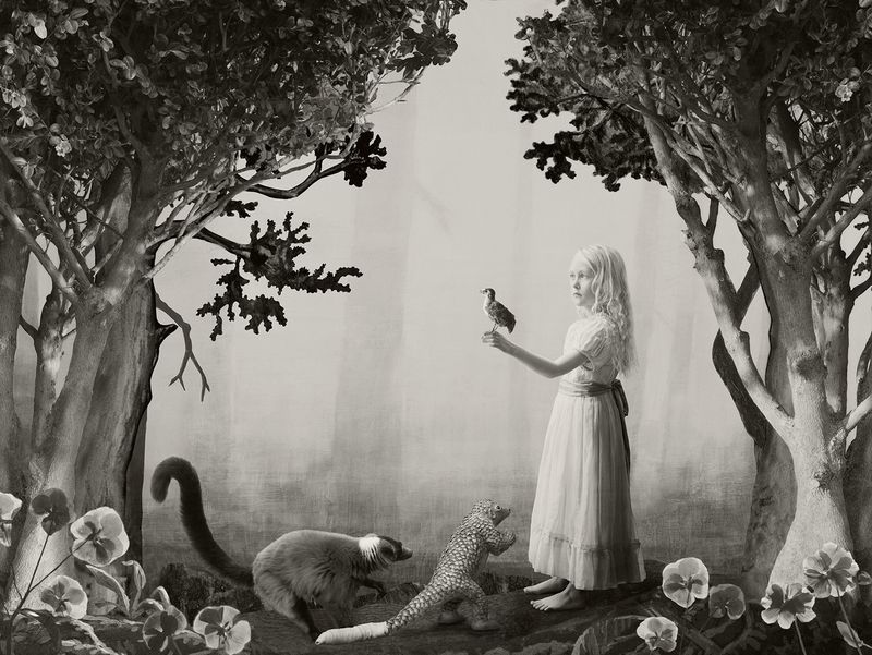 © Helena Blomqvist - Birdgirl