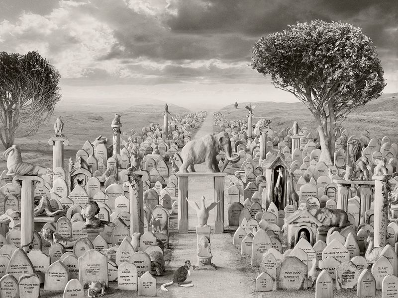 © Helena Blomqvist - Cemetery for Extinct and Endangered Species