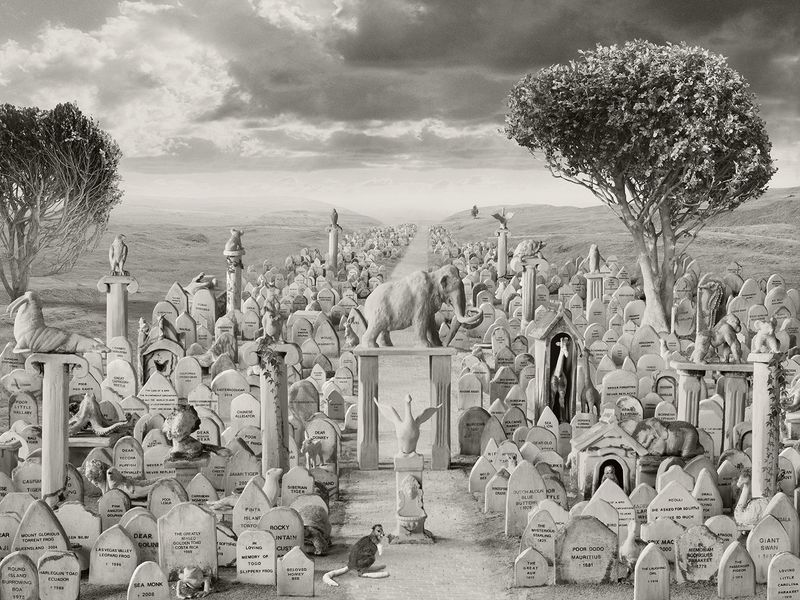 © Helena Blomqvist - Cemetery for Extinct and Endangered Species
