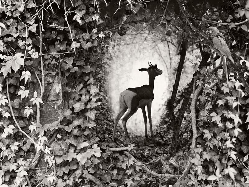 © Helena Blomqvist - The Portal III