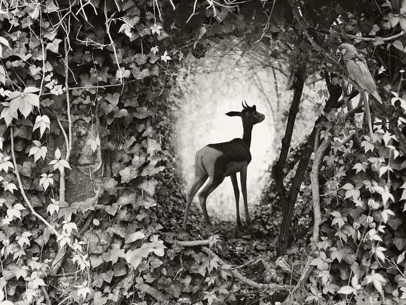 © Helena Blomqvist - The Portal III