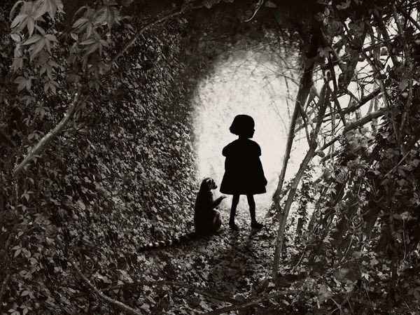 © Helena Blomqvist - The Portal IV