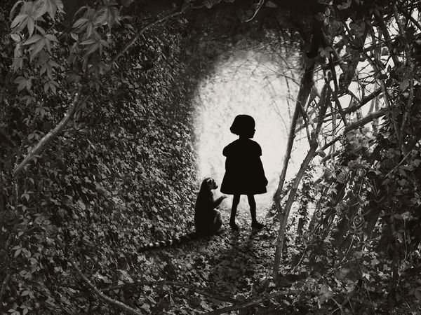 © Helena Blomqvist - The Portal IV