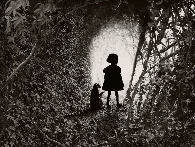 © Helena Blomqvist - The Portal IV