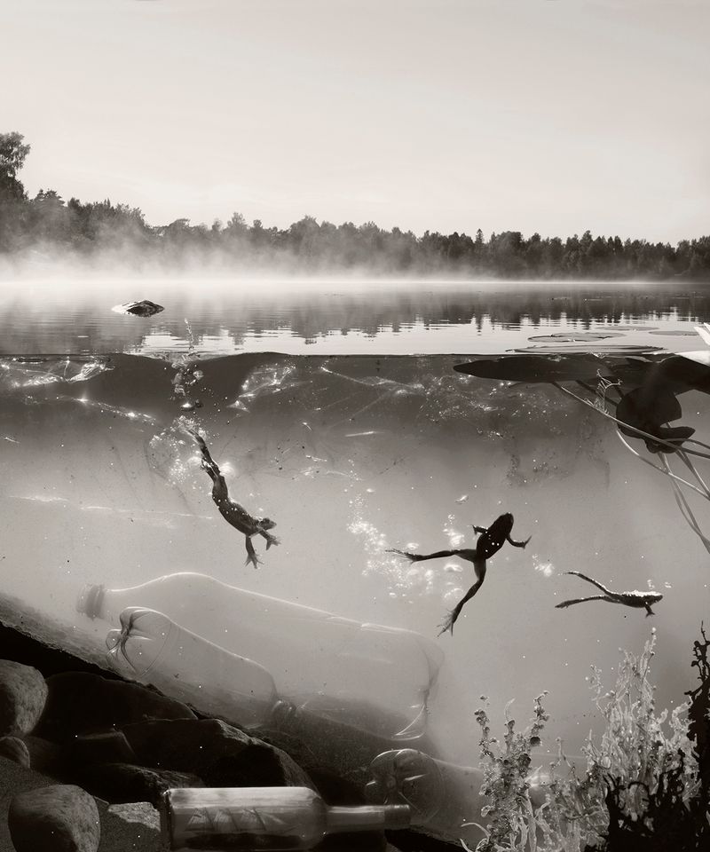 © Helena Blomqvist - The Origin of Everything