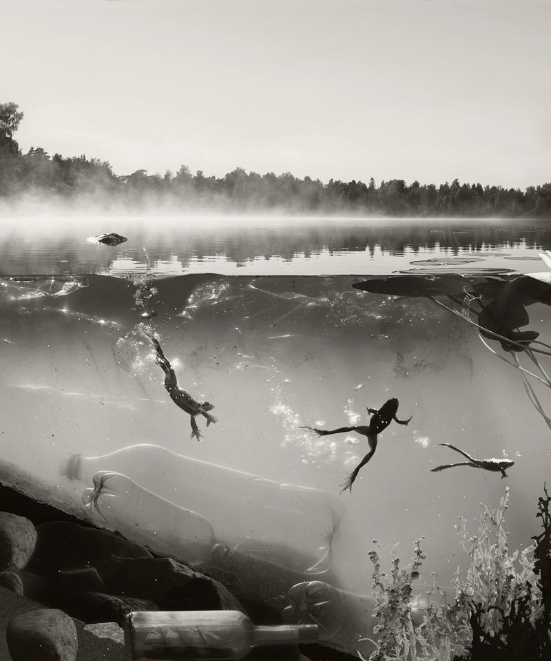 © Helena Blomqvist - The Origin of Everything