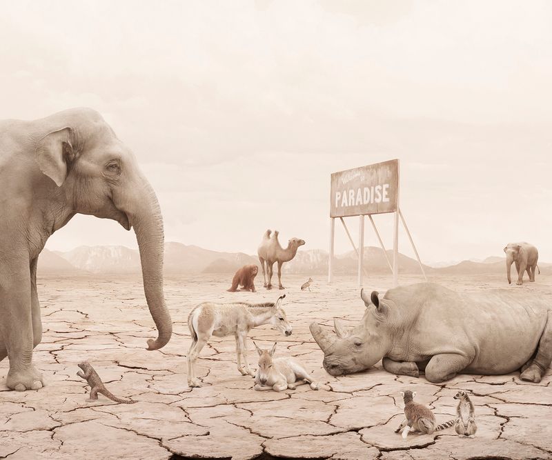 © Helena Blomqvist - The Promised Land