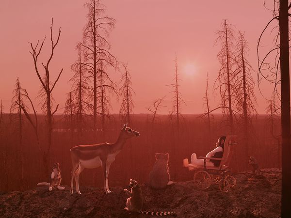© Helena Blomqvist - The Great Fire