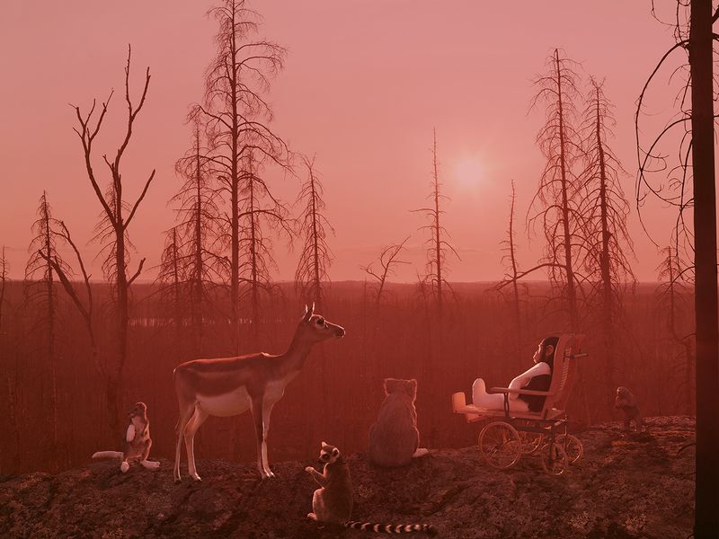 © Helena Blomqvist - The Great Fire