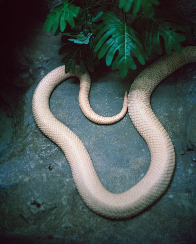 © Marjolaine Gallet - Image from the I Feel Bad About Inanimate Objects All the Time photography project