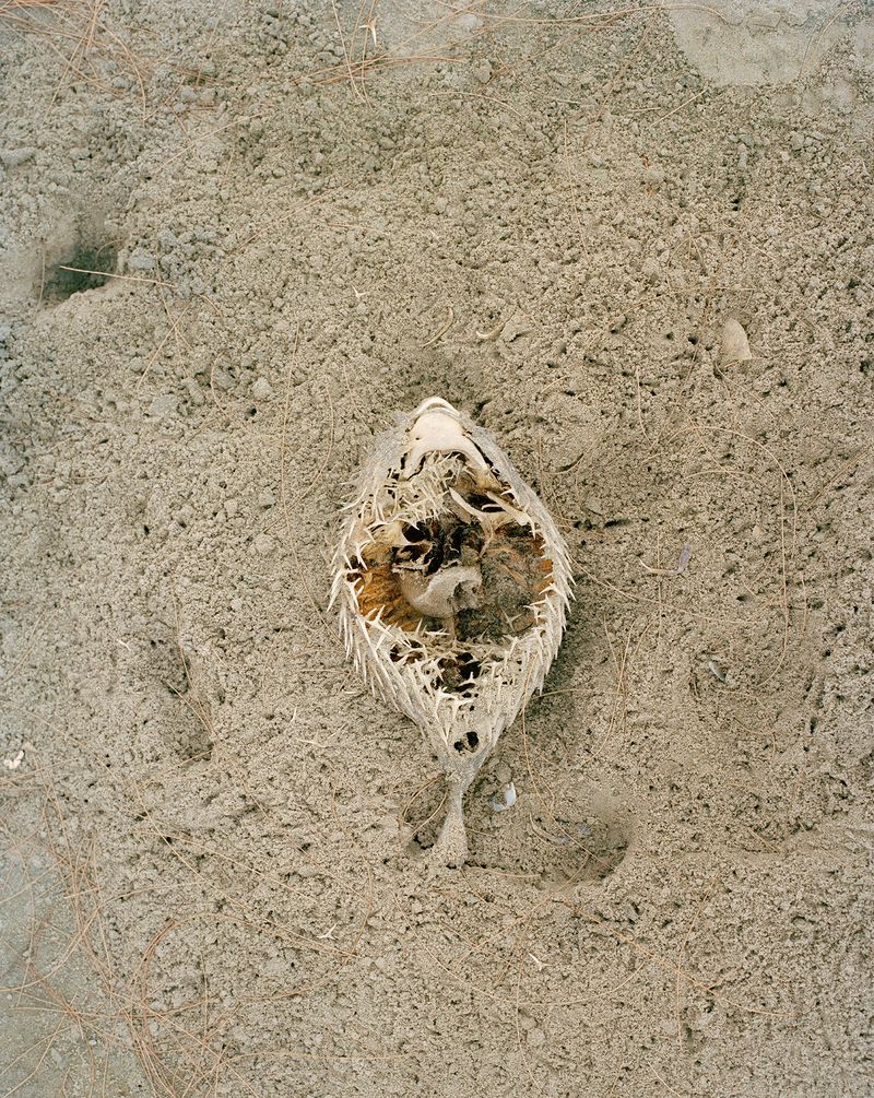 © Marjolaine Gallet - Image from the I Feel Bad About Inanimate Objects All the Time photography project