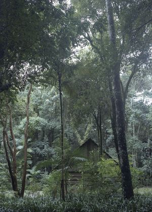 Waiting for the snow