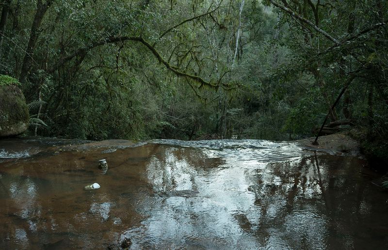 © Katarzyna and Marianne Wasowska - Image from the Waiting for the snow photography project