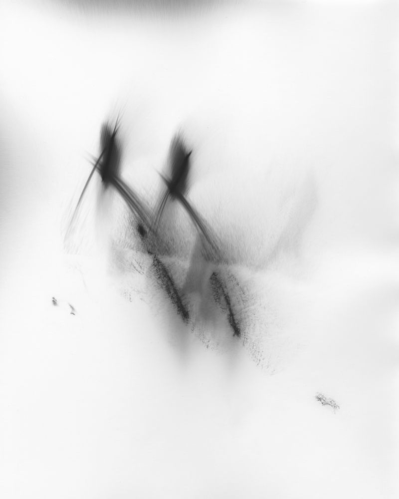 © Peng Zhou - Image from the Nothing, but everything photography project