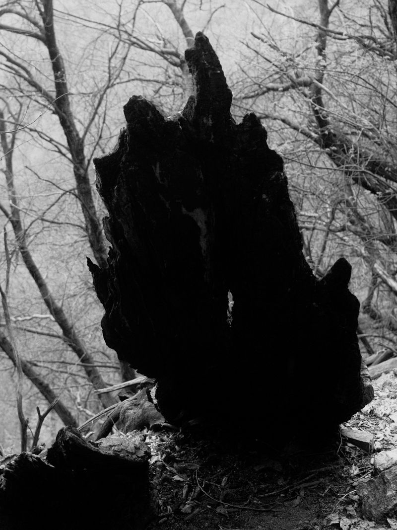 © Tim Gassauer & Manu Gruber - PRIMAVERA, Tim Gassauer & Manu Gruber (Artist Duo)