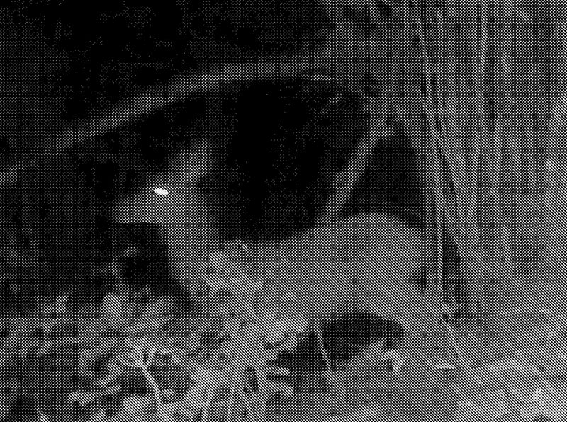 © Tim Gassauer - PRIMAVERA, Tim Gassauer & Manu Gruber (Artist Duo)