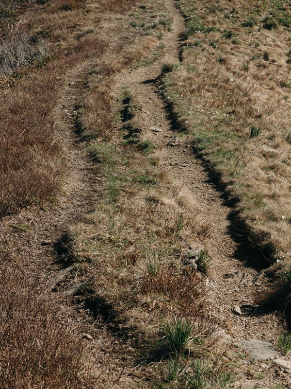 © Tim Gassauer & Manu Gruber - PRIMAVERA, Tim Gassauer & Manu Gruber (Artist Duo)