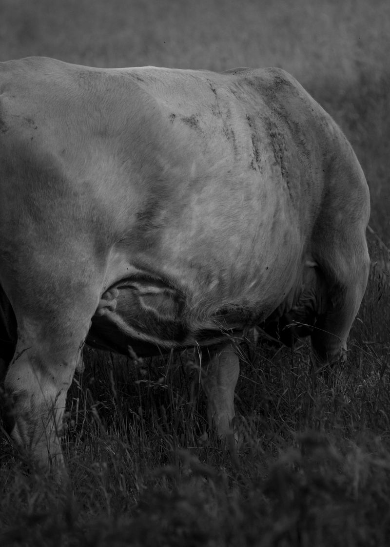 © Tim Gassauer - Image from the Lüderitz photography project