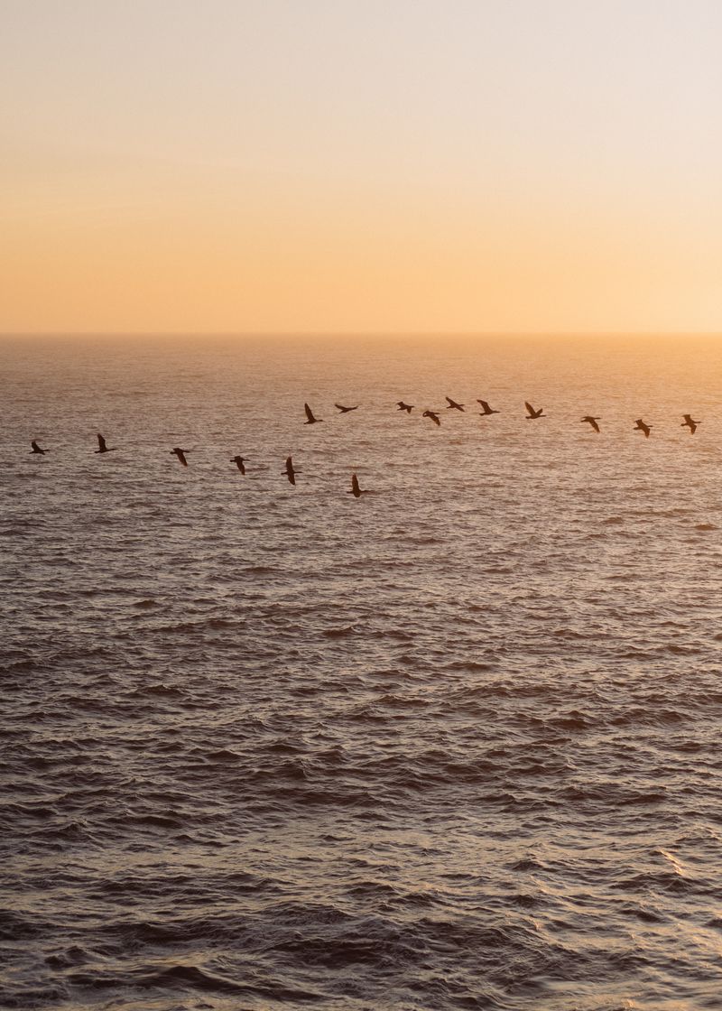 © Tim Gassauer - Image from the Lüderitz photography project