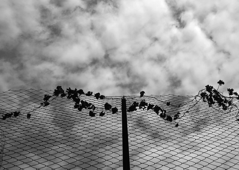 © Kelly O'Brien - Image from the beyond THE BACKwAY photography project