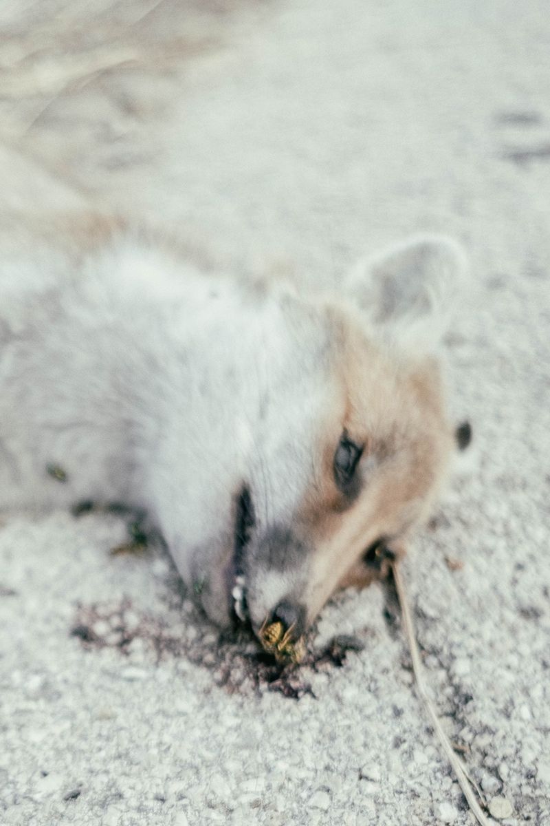 © Carmelo Stompo - Image from the UNDER YOUR FEET photography project