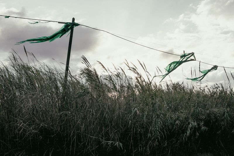 © Carmelo Stompo - Image from the UNDER YOUR FEET photography project