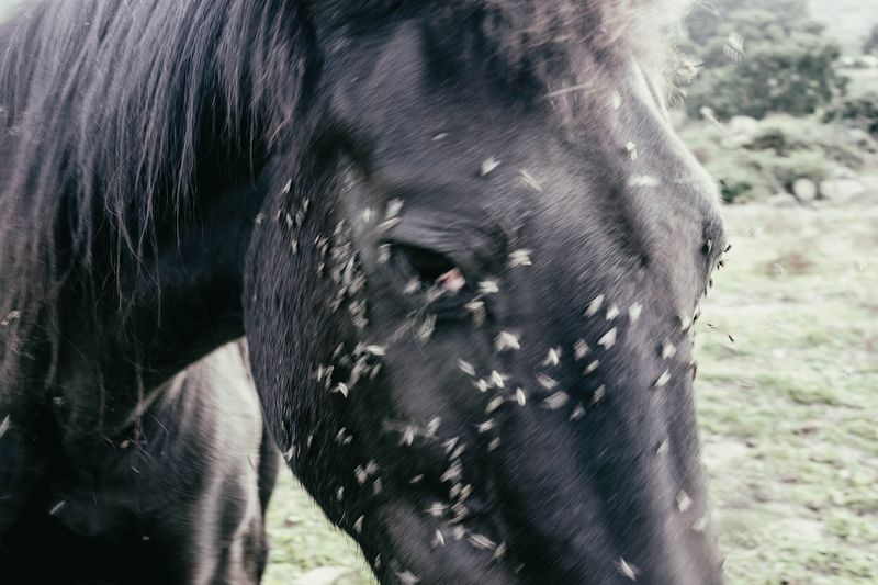 © Carmelo Stompo - Image from the UNDER YOUR FEET photography project