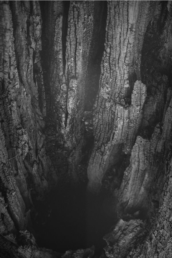 © Carmelo Stompo - Image from the PASQUA_sia photography project