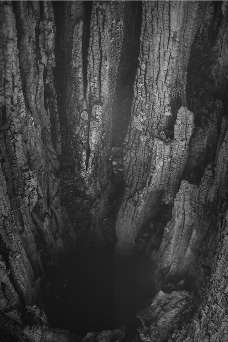 © Carmelo Stompo - Image from the PASQUA_sia photography project