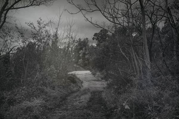 © Carmelo Stompo - Image from the PASQUA_sia photography project