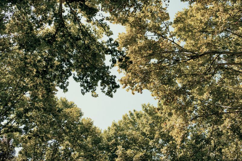 © Carmelo Stompo - Image from the NEVER STOP photography project