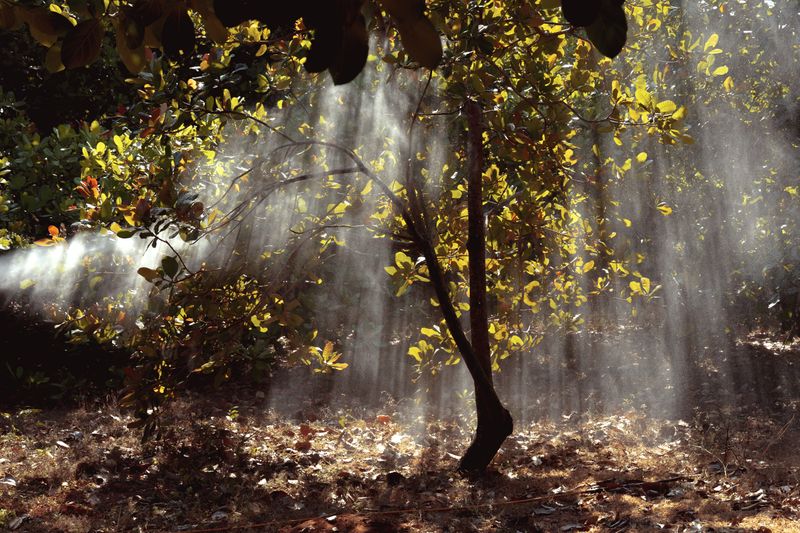 © suren kimidi - Image from the Sedated Atoms photography project