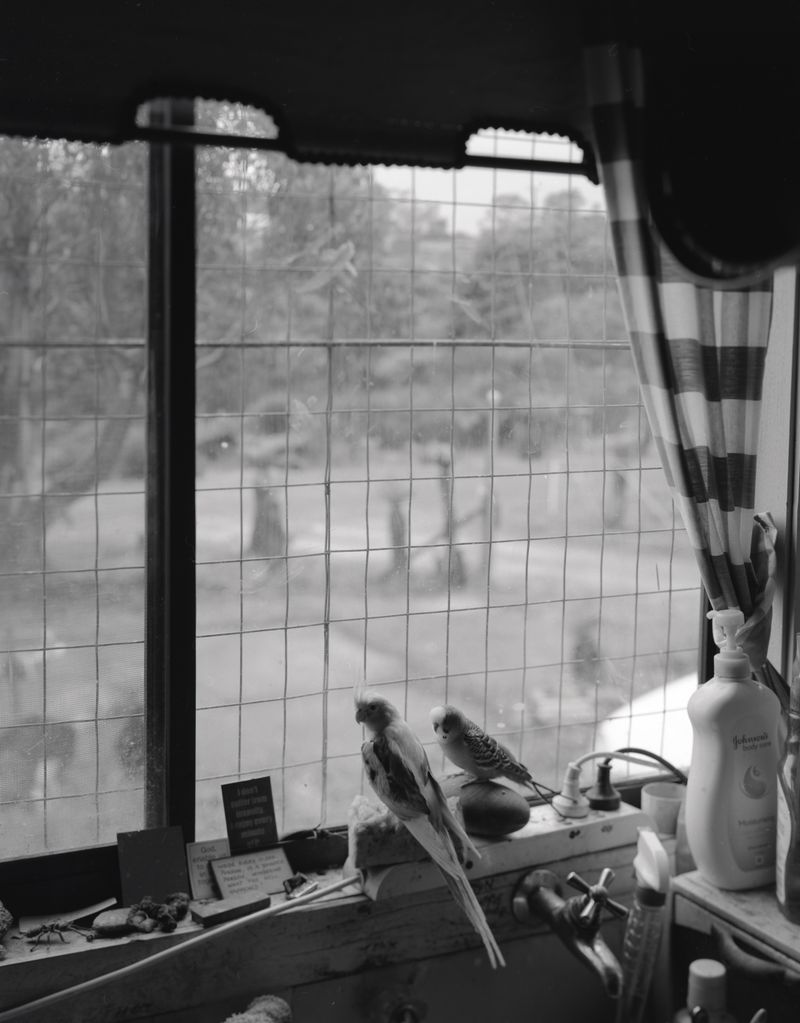 © dave carswell - Image from the Grant me the Serenity photography project