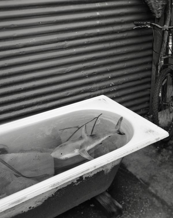 © dave carswell - Image from the Grant me the Serenity photography project